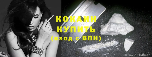 стаф Арсеньев