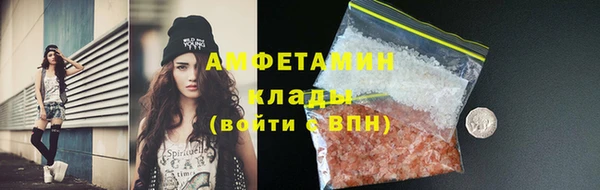 стаф Арсеньев