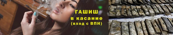 стаф Арсеньев